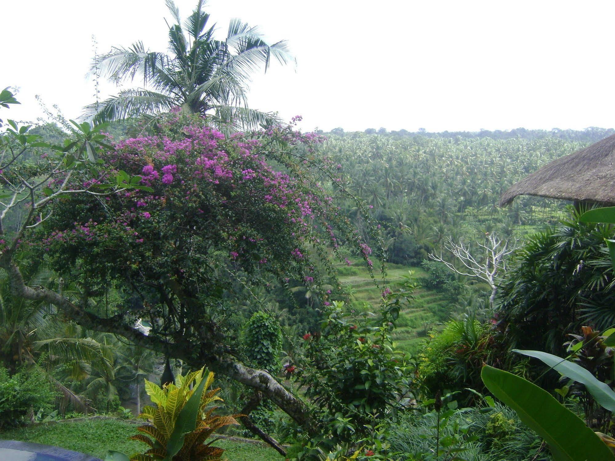 Taman Bebek Bali Hotel Убуд Екстериор снимка
