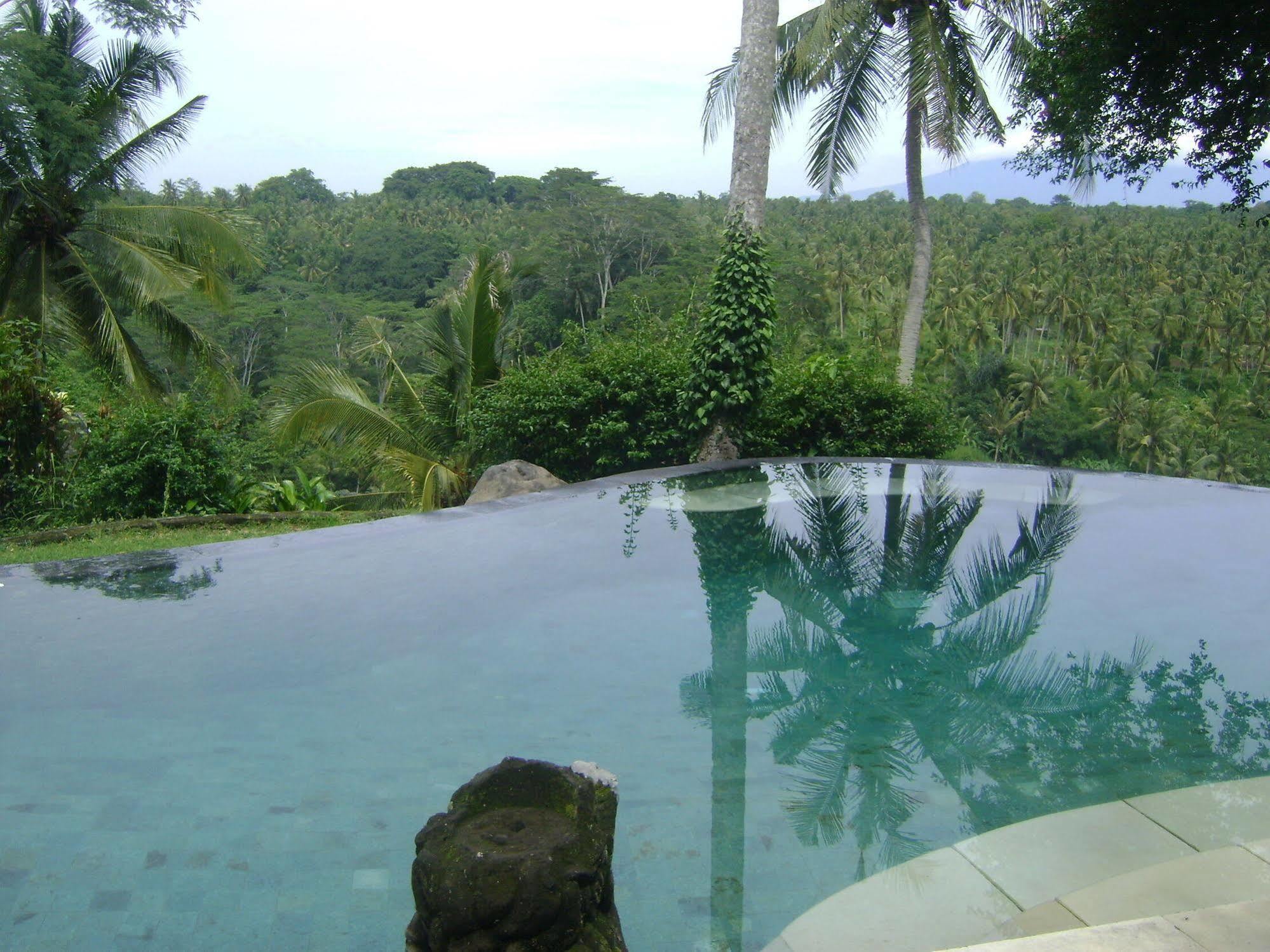 Taman Bebek Bali Hotel Убуд Екстериор снимка